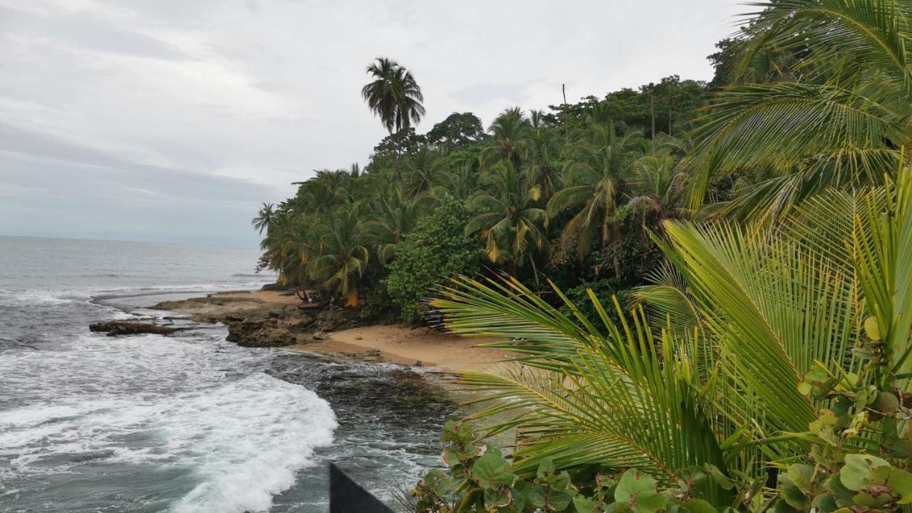 Cabinas Mitchaelle'S Puerto Viejo de Talamanca Exterior foto